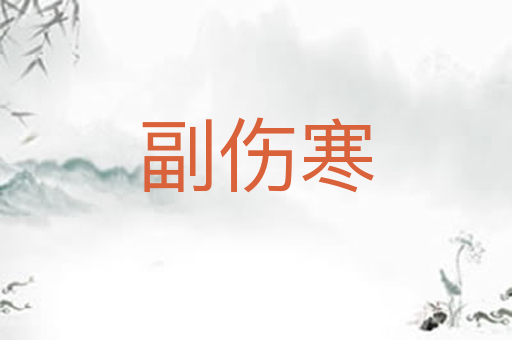 副伤寒
