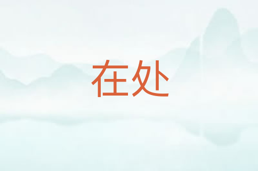 在处