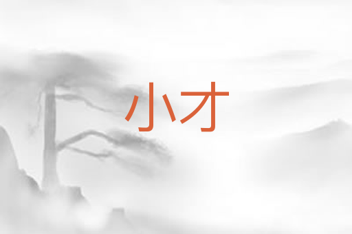 小才