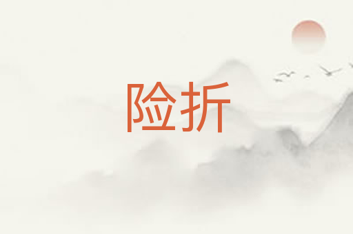 险折