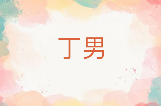 丁男