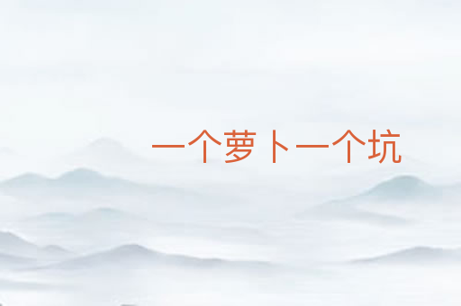 一个萝卜一个坑