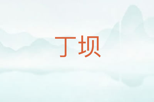 丁坝