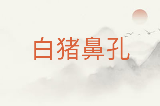 白猪鼻孔