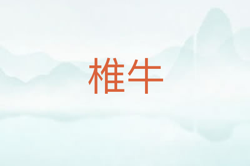 椎牛