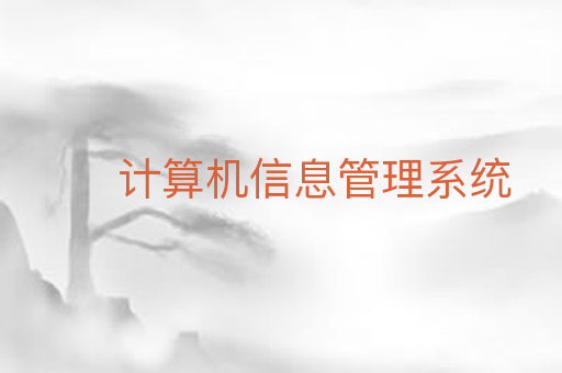 计算机信息管理系统