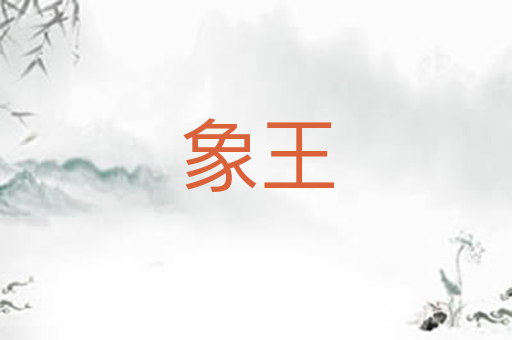 象王