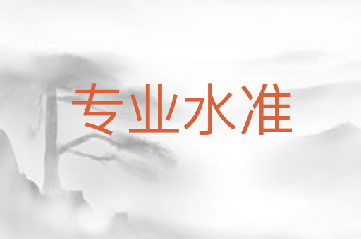 专业水准