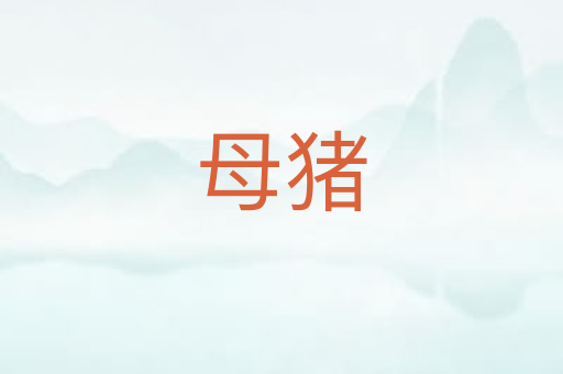 母猪