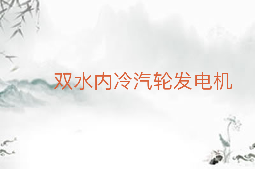 双水内冷汽轮发电机