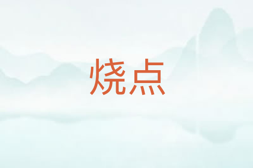 烧点