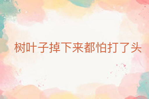 树叶子掉下来都怕打了头