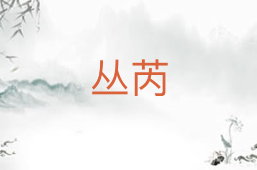 丛芮