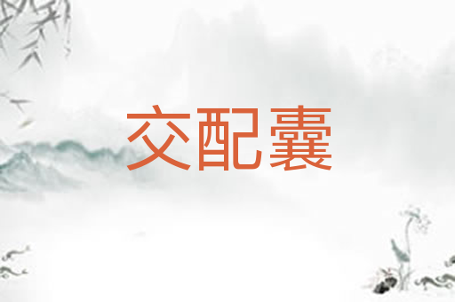 交配囊