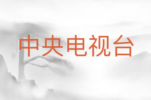 中央电视台