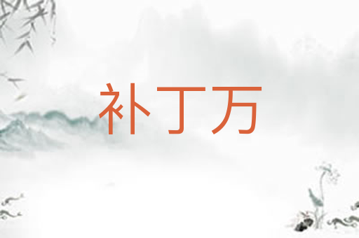 补丁万