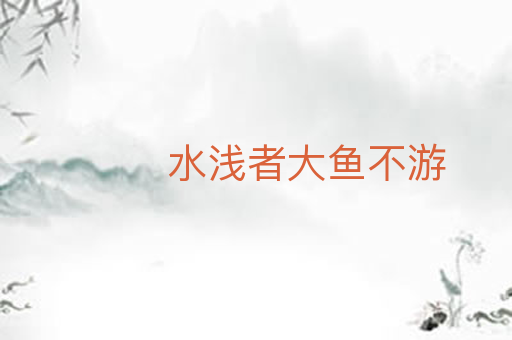 水浅者大鱼不游