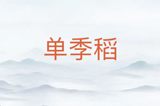 单季稻