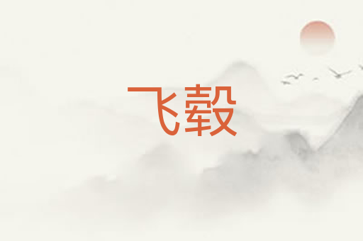 飞毂