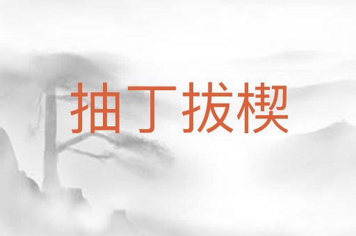抽丁拔楔