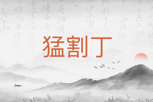 猛割丁
