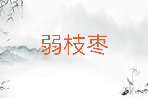弱枝枣