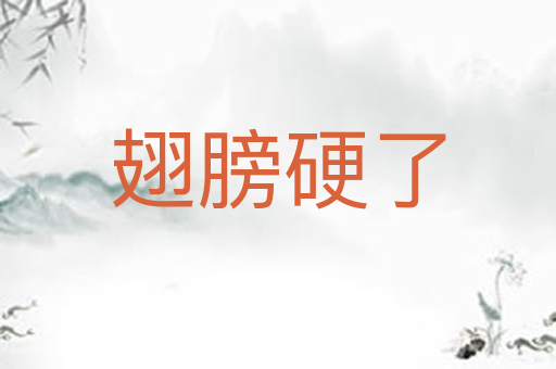 翅膀硬了