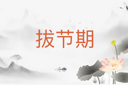 拔节期