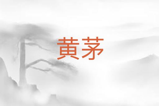 黄茅