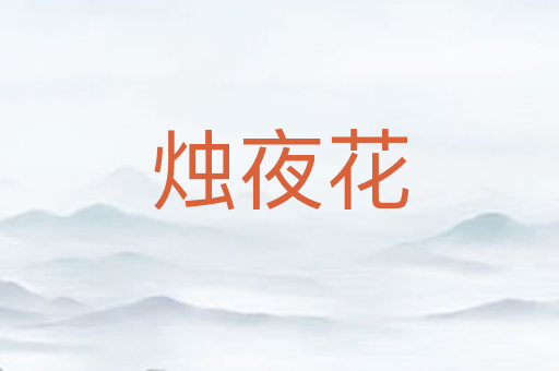 烛夜花