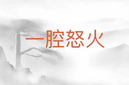 一腔怒火