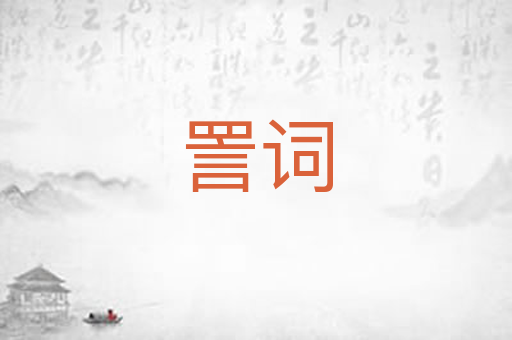 詈词