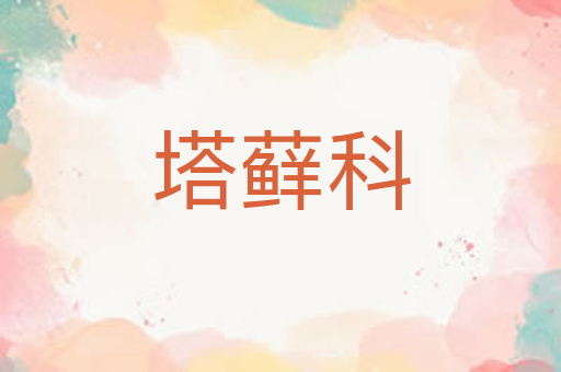 塔藓科