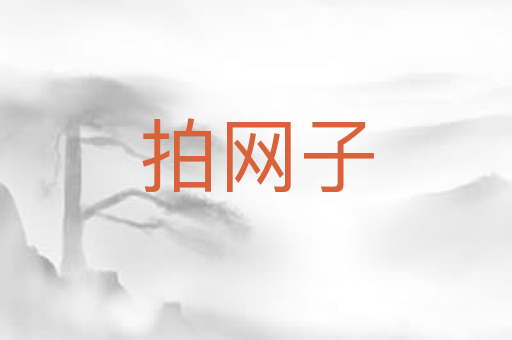 拍网子