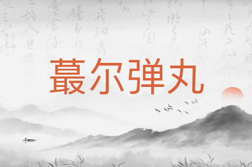 蕞尔弹丸