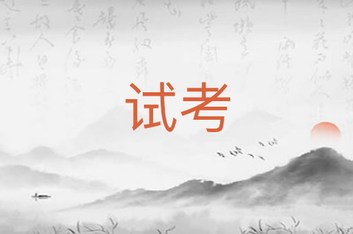 试考