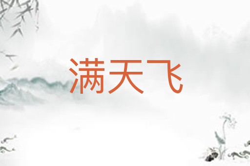 满天飞