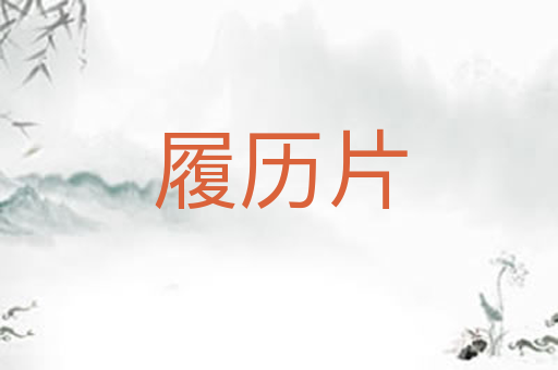 履历片