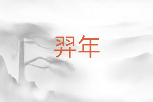 羿年