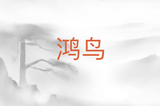 鸿鸟