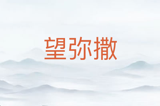 望弥撒