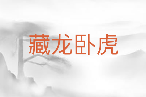 藏龙卧虎
