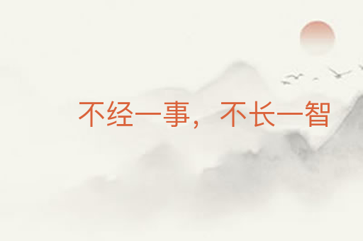 不经一事,不长一智