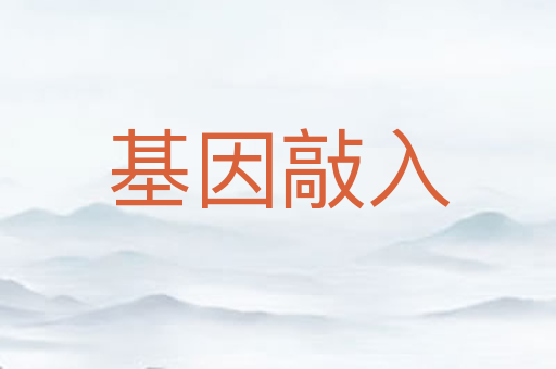 基因敲入