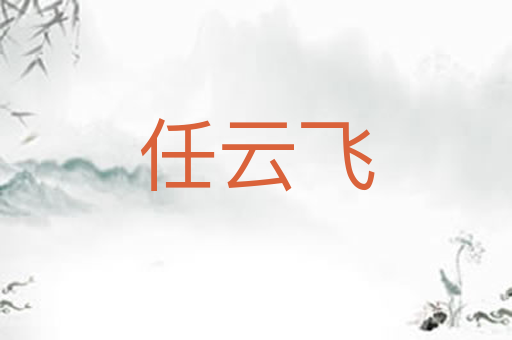 任云飞