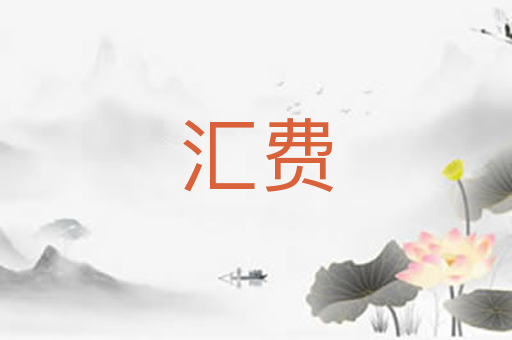 汇费