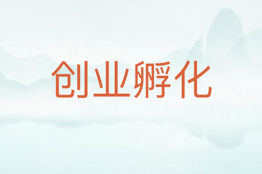 创业孵化