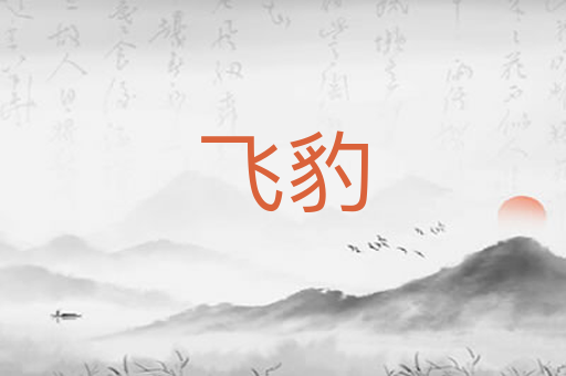 飞豹