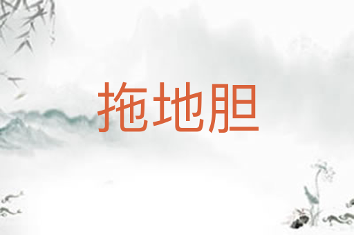 拖地胆