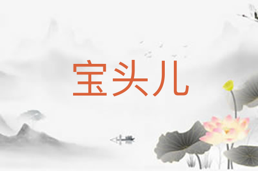 宝头儿